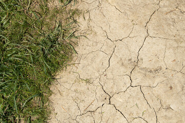 Cracked dry soil contrasts with lush green grass, illustrating the effects of drought in an...