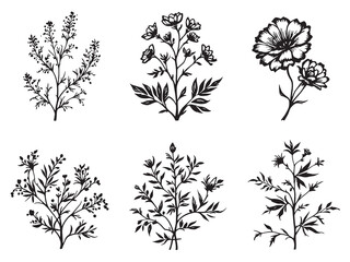 Love Lies Bleeding Black Line Art on White Background