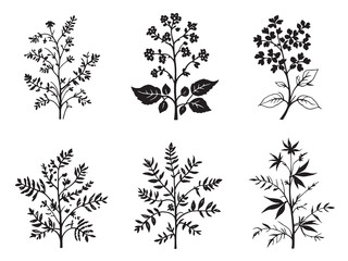 Love Lies Bleeding Black Line Art Design on White Background