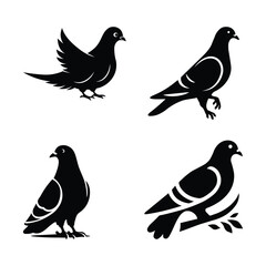 Pigeon vector silhouette set graphics design. 