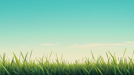 Fototapeta premium Lush green grass under a vibrant summer sky.