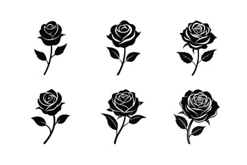 set of roses