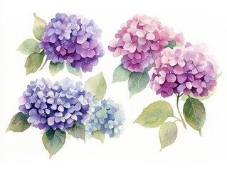 Hydrangea Watercolor Illustration Soft Pastel Colors Impressionist Style Floral Art