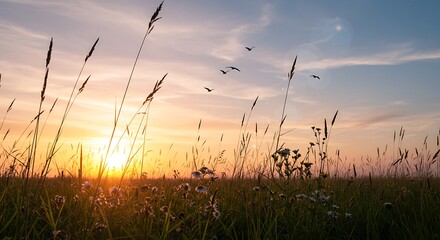 Obraz premium Grassy Field at Sunset with Birds Flying Above