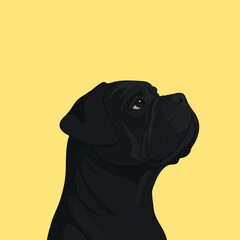 Black Dog Portrait on Yellow Background