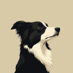 Elegant Border Collie Dog Portrait on Neutral Background