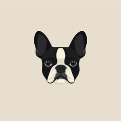 Minimalist Boston Terrier Dog Head Illustration