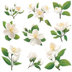 Fototapeta premium Beautiful White Floral Arrangement with Blooms and Leaves for Nature Lovers and Design Projects