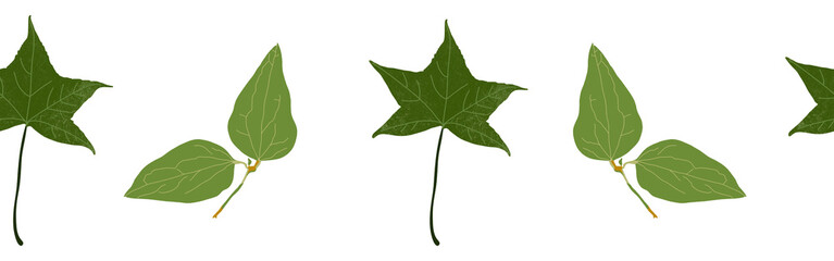Fototapeta premium Leaves border on a white background. Hand-drawn illustration. Perfect for spring and summer.
