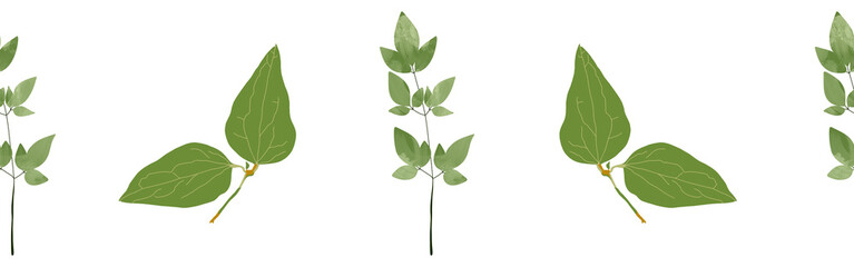 Leaves border on a white background. Hand-drawn illustration. Perfect for spring and summer.