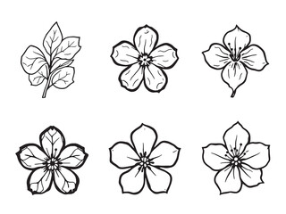 Mountain Laurel Black Line Drawing on White Background