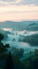 Misty Morning: Rolling Hills and Forests Bathed in Soft Light, a Serene Landscape