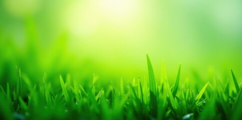 Obraz premium Softly swaying blades of emerald green grass in a serene landscape, scenery, natural beauty, fresh spring green grass