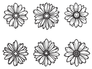 Painted Daisy Clear Vision Black Line Art White Background