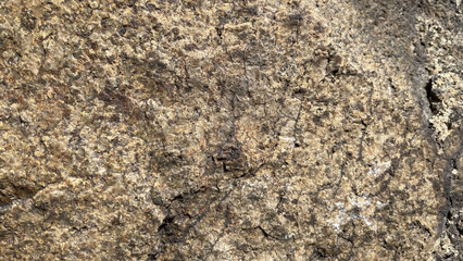 Grey stone wall with cracks. Texture Background. Closeup