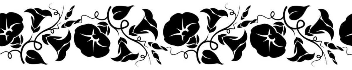 Horizontal seamless vignette with morning glory (bindweed) flowers. Vector black and white floral seamless border