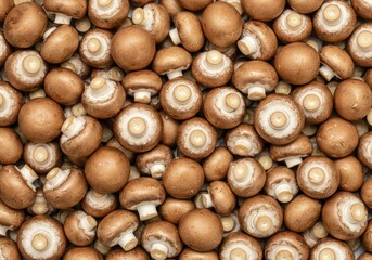 Whole mushrooms arranged closely together on a light background showcasing their natural shapes