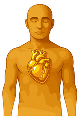 Human with golden heart Vector Illustration. Conceptual artwork symbolizing strength, health, emotion, and power. Golden, heart, anatomy, human, strength, health, love, symbolic, vector, illustratio, 