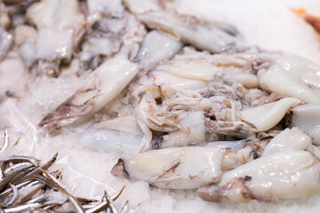 Fresh raw octopus frozen in ice in market close-up