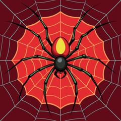 spider on web
