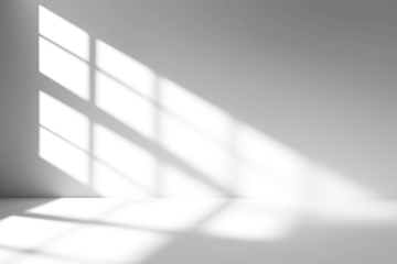 shadow overlay effects of realistic window and tree branch shadow with light blur on transparent background,Summer sunlight and shadow overlay effect