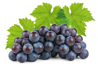 Fototapeta premium Bunch of fresh blue grapes with green leaves isolated on a white background showcasing vibrant color