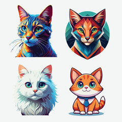 cat on white background pet