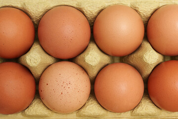 Top view of raw rustic brown eggs in a green paper box. Natural.