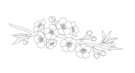 Cherry blossom branch coloring page line art featuring beautiful blooming flowers and unopened buds detailed