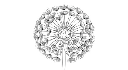 Line drawing coloring sheet showcasing a dandelion clock puff ball seed head detailing the parachute seeds