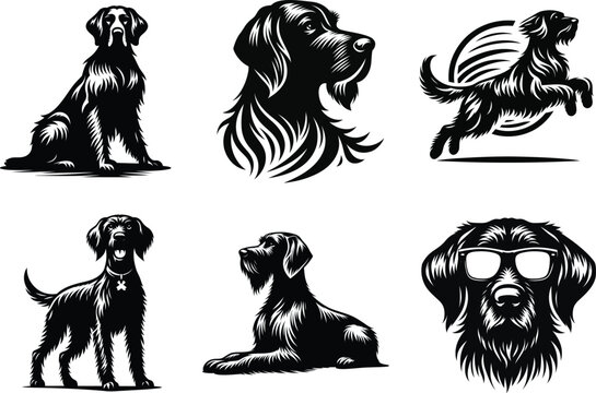 German Wirehaired Pointer Dog Poster, Pet Art for Home or Office