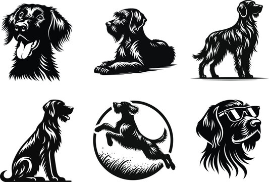 German Wirehaired Pointer Hunting Dog, High-Quality Vector Art Design.