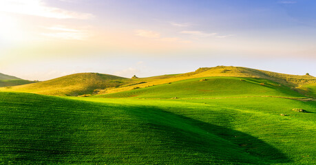 green spring hills with young grass and amazing growing fields and hills with beautiful bright cloudy sunset on background of rural landscape