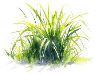 Lush Green Watercolor Grass Tuft on Transparent Background, PNG
