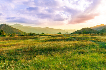 Fototapeta premium beautiful green valley with green fields with green spring grass with nive hills and mountains and scenic colorful cloudy sunset on background of landscape