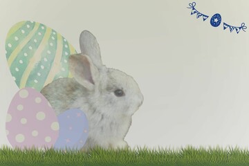 easter bunny and easter eggs