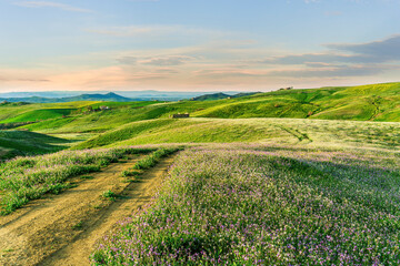 rustic road in spring meadow landscape with green grass, flowers, amazing hills and beautiful path leading to a village. Agricultural landscapw of europe.
