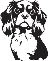 Dog Cavalier King Charles Spaniel. Hand drawn vector illustration	