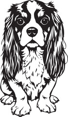 Dog Cavalier King Charles Spaniel. Hand drawn vector illustration	