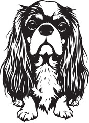 Dog Cavalier King Charles Spaniel. Hand drawn vector illustration	