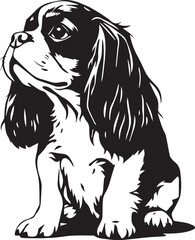 Dog Cavalier King Charles Spaniel. Hand drawn vector illustration	
