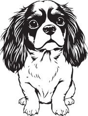 Dog Cavalier King Charles Spaniel. Hand drawn vector illustration	