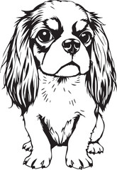 Dog Cavalier King Charles Spaniel. Hand drawn vector illustration	