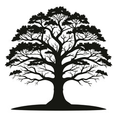 Obraz premium Silhouette of Deciduous Tree with Rounded Crown, Branches, and Ground on White