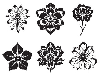 Obraz premium Spider Flower Line Art Design Black on White