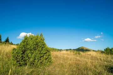 beautiful mountain landscape on a sunny summer day