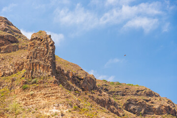 beautiful mountain landscape on a sunny summer day