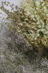 Beautiful array of dried flowers and delicate foliage showcasing natural colors and textures in a minimalist arrangement