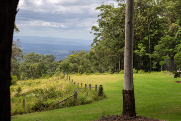 A scenic view of a grassy field and forest in Australia, with a glimpse of distant mountains under a cloudy sky