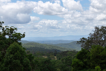 forested hills covered in lush greenery with distant mountains in the background